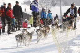 Lenk 2012 SM